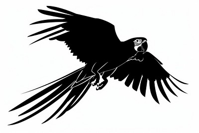 Elegant parrot silhouette illustration