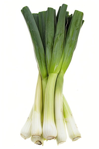 Fresh green organic leeks bunch