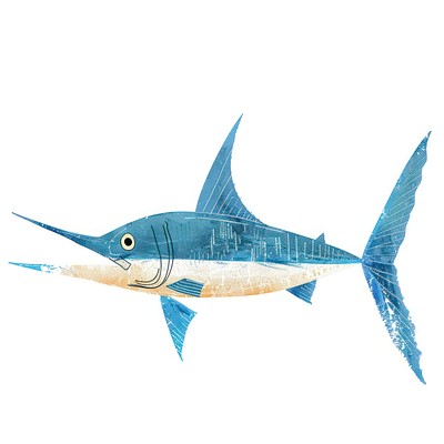 Swordfish swordfish animal shark.