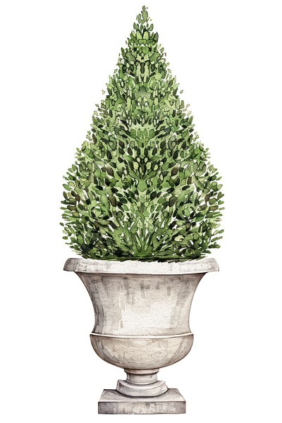 Elegant potted topiary illustration art