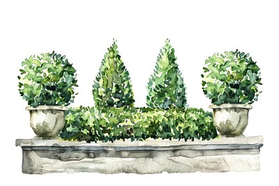 Elegant watercolor garden illustration