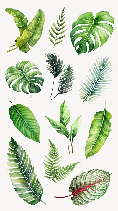 Watercolor tropical leaf design element set