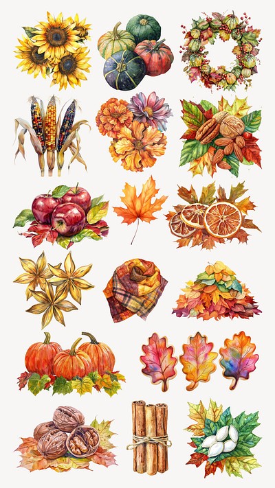 Autumn harvest design element set