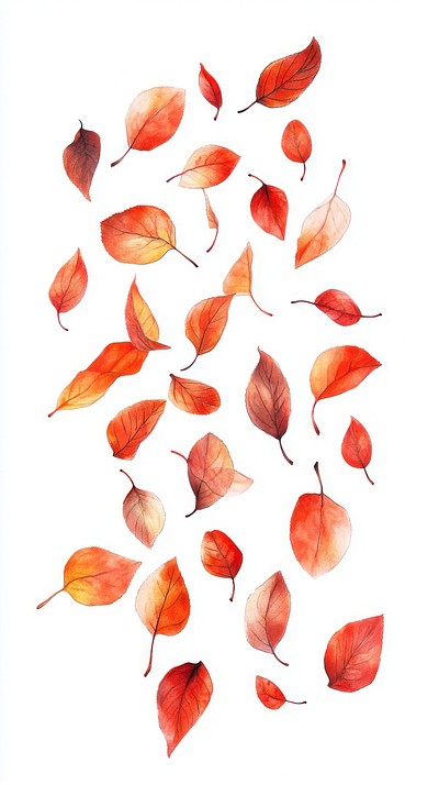 Autumn leaves leaf fall illustration.