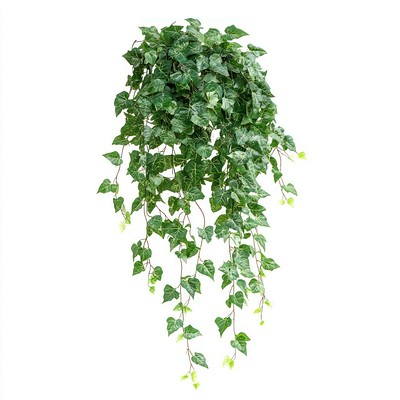 Lush hanging ivy plant decor