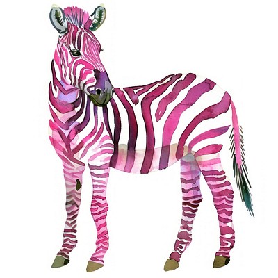 Colorful zebra watercolor illustration