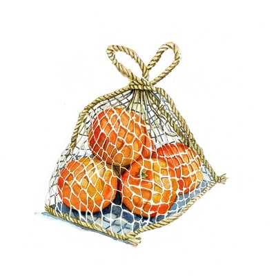 Oranges in net bag illustration