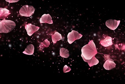 Rose petals sparkle light glitter background floating pink.