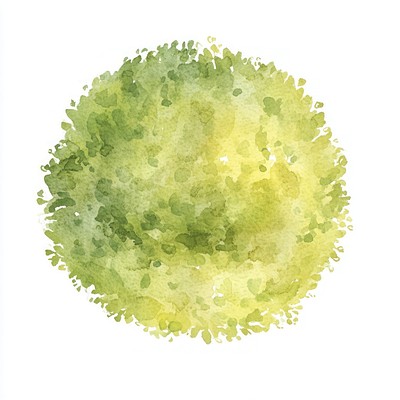 Green tree illustration watercolor texture.