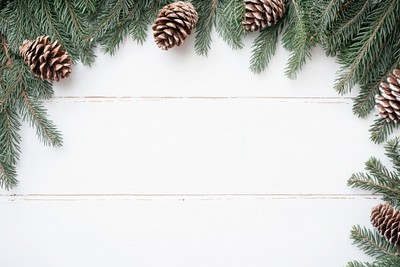 Christmas tree branches with pine cones border conifer spruce plant.