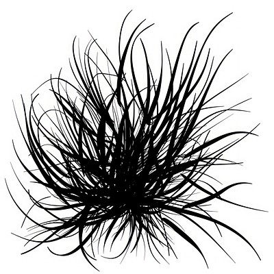 Abstract black grass illustration