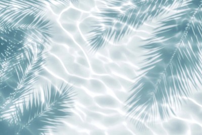 Palm leaves shadow on water background pattern nature.