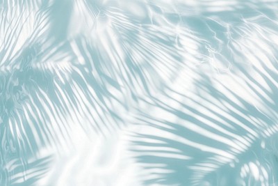 Palm leaves shadow on water background abstract shadows.