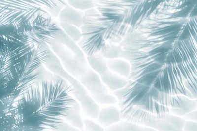 Palm leaves shadow on water background nature destination.