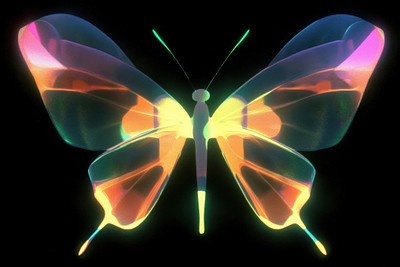 Butterfly neon insect art.