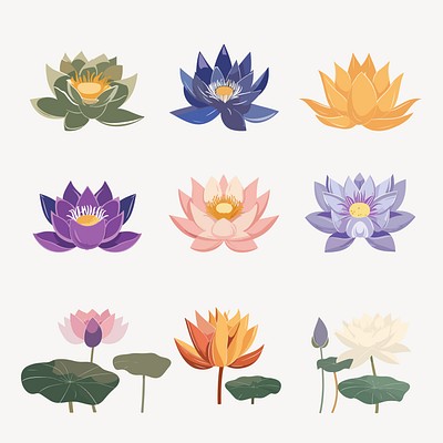 Lotus illustration  set