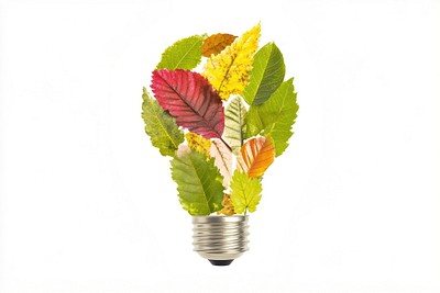 Leaf Collage light bulb leaves lightbulb creative.