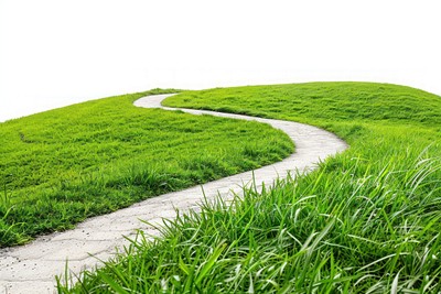 Serene winding path through grass