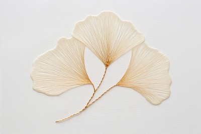 Ginkgo leaf in embroidery style nature-inspired illustration accessories.