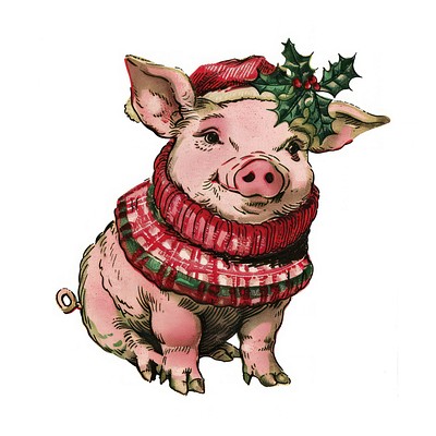 Pig character christmas animal cute.