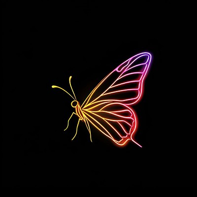 Butterfly 1 wing light illustration glowing.