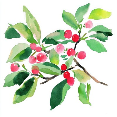 Holly art watercolor vibrant.