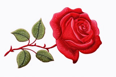 Rose in embroidery style pattern flower plant.