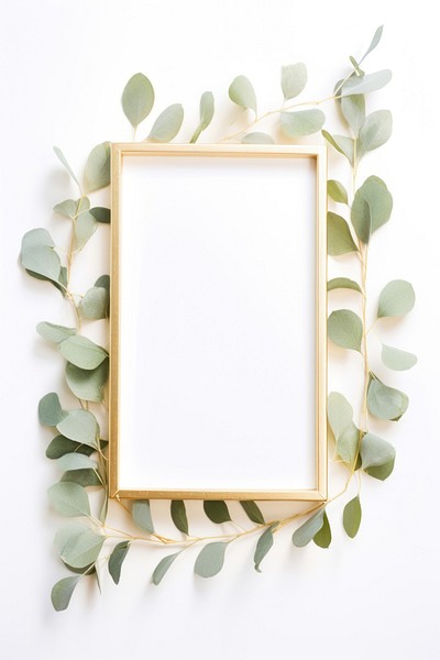 Rectangle plant frame white background.