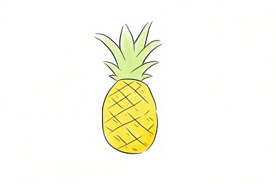 Pineapple drawing fruit plant.