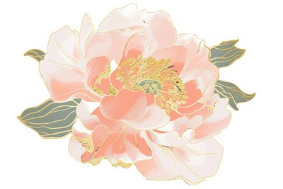 Peony flower pattern petal plant.