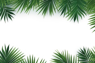 Palm leaves border backgrounds outdoors nature.