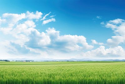 PNG Farmland landscape nature backgrounds panoramic.