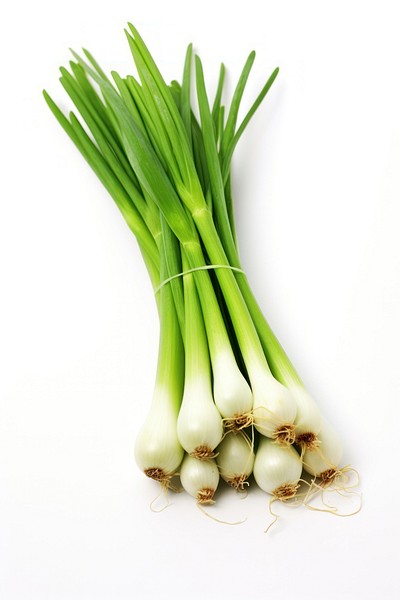 Green onions vegetable plant food.