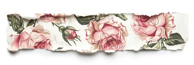 Horizontal rose pattern paper strip tape flower plant art.