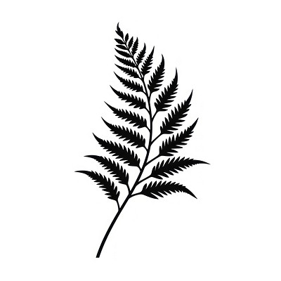 Fern leaf silhouette plant black.