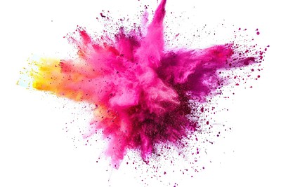 Yellowmagenta holi paint color powder backgrounds purple white background.