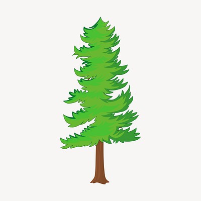 Pine tree clipart, botanical illustration. Free public domain CC0 image.