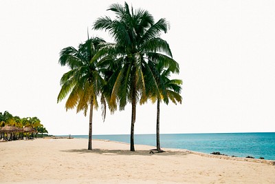 tropical beach png