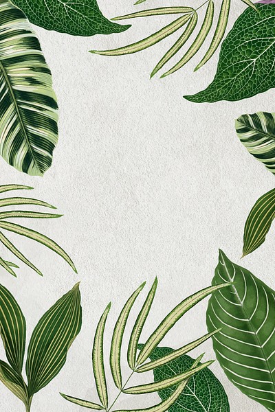 Leaf frame, aesthetic green botanical | Premium Vector - rawpixel