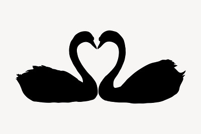 black and white swans heart
