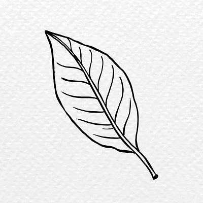 60 Leaf Tattoo Designs For Men  The Delicate Stages Of Life