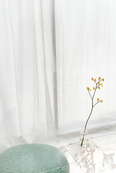 Yellow forsythia in a cleared-vase | Premium Photo - rawpixel
