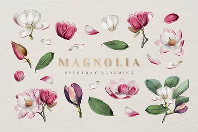 Elegant floral design collection vector | Premium Vector - rawpixel