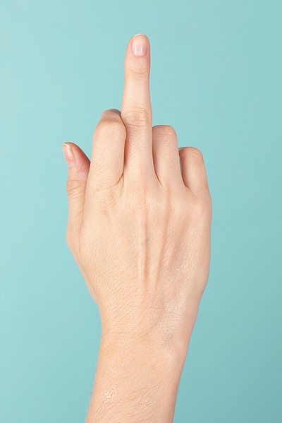 Anthony Bourdain middle finger pose - Anthony Bourdain - Sticker | TeePublic