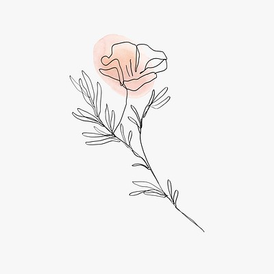 Poppy flower vector line art | Premium Vector Illustration - rawpixel