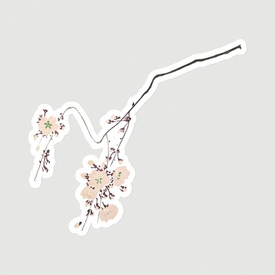 Pink cherry blossom sticker on gray background