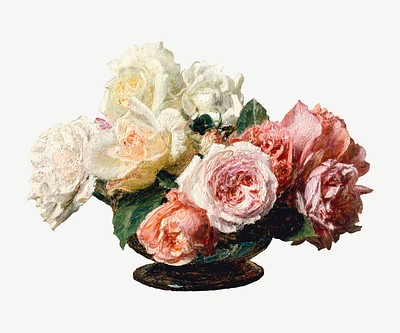 Fantin-Latour Rose  Types of roses, Rose, Heritage rose