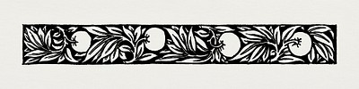 Vintage black and white apples and foliage ornament design element illustration