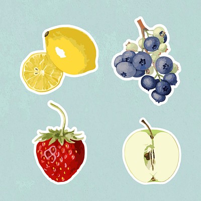 Vectorized tropical fruit sticker collection design elements 