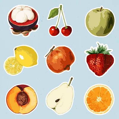 Vectorized tropical fruit sticker collection design elements 